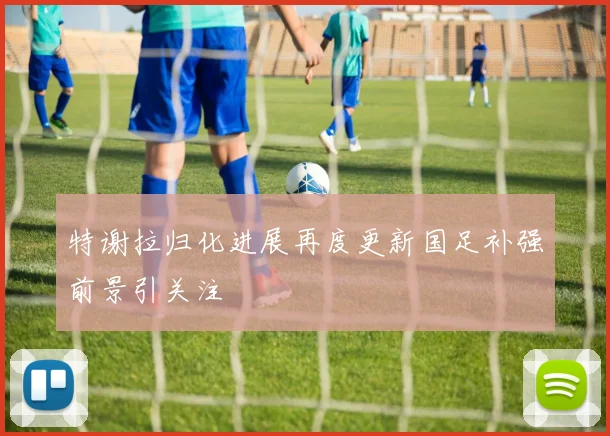 特谢拉归化进展再度更新国足补强前景引关注