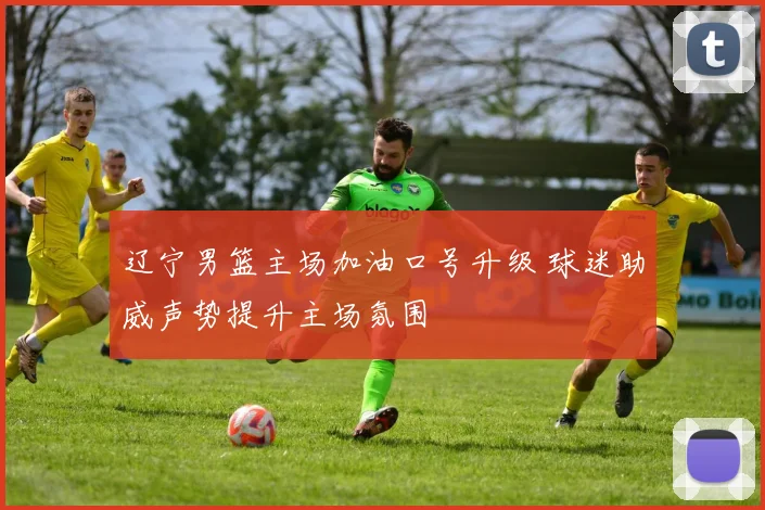 辽宁男篮主场加油口号升级 球迷助威声势提升主场氛围