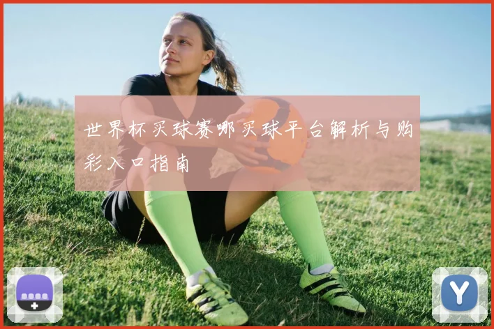 世界杯买球赛哪买球平台解析与购彩入口指南