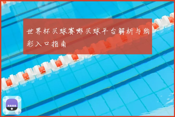 世界杯买球赛哪买球平台解析与购彩入口指南