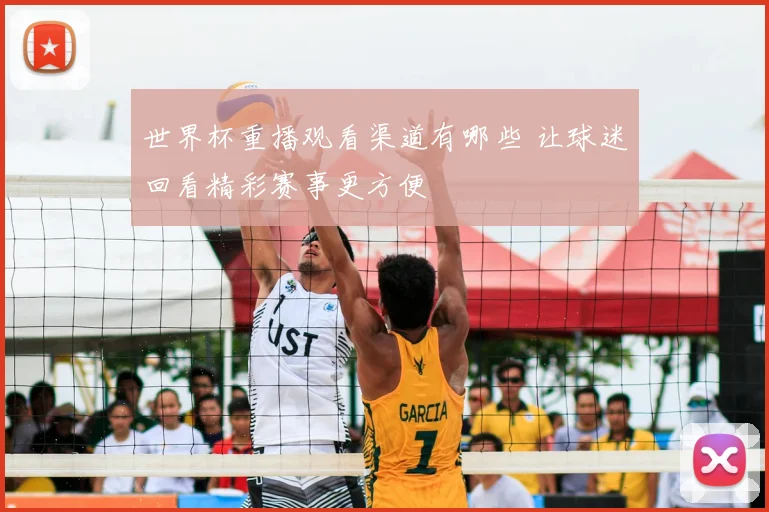 世界杯重播观看渠道有哪些 让球迷回看精彩赛事更方便