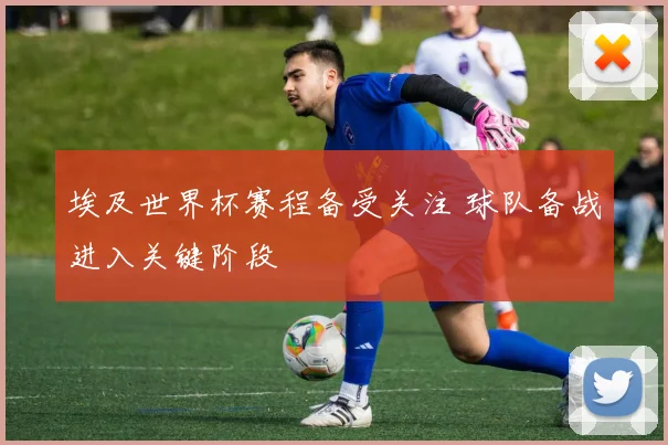 埃及世界杯赛程备受关注 球队备战进入关键阶段