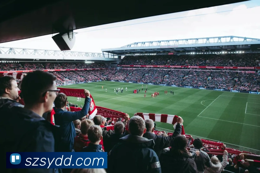 App Interface Preview